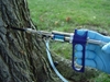 *Arborjet - Tree Injection Technology - 