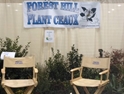 *Forest Hill Plant Ceaux 