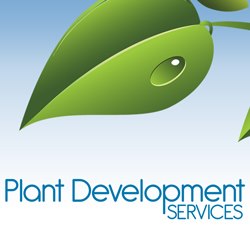 Plant Development Services 