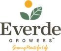 *Everde Growers:<br>formerly TreeTown USA -- Village Nurseries/Hines Growers 