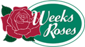 Weeks Roses:  Take It Easy™ Roses 