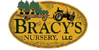 Bracy's Nursery